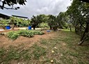 淡水區-北新路一段土地，98.3坪