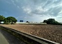 八德區-廣隆段土地，800坪