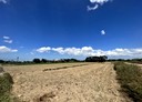 新屋區-埔頂段埔頂小段土地，336坪