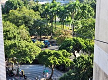 國興路近未來萬大線植物園捷..