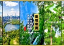 西屯區-皇城街3房2廳，52.2坪