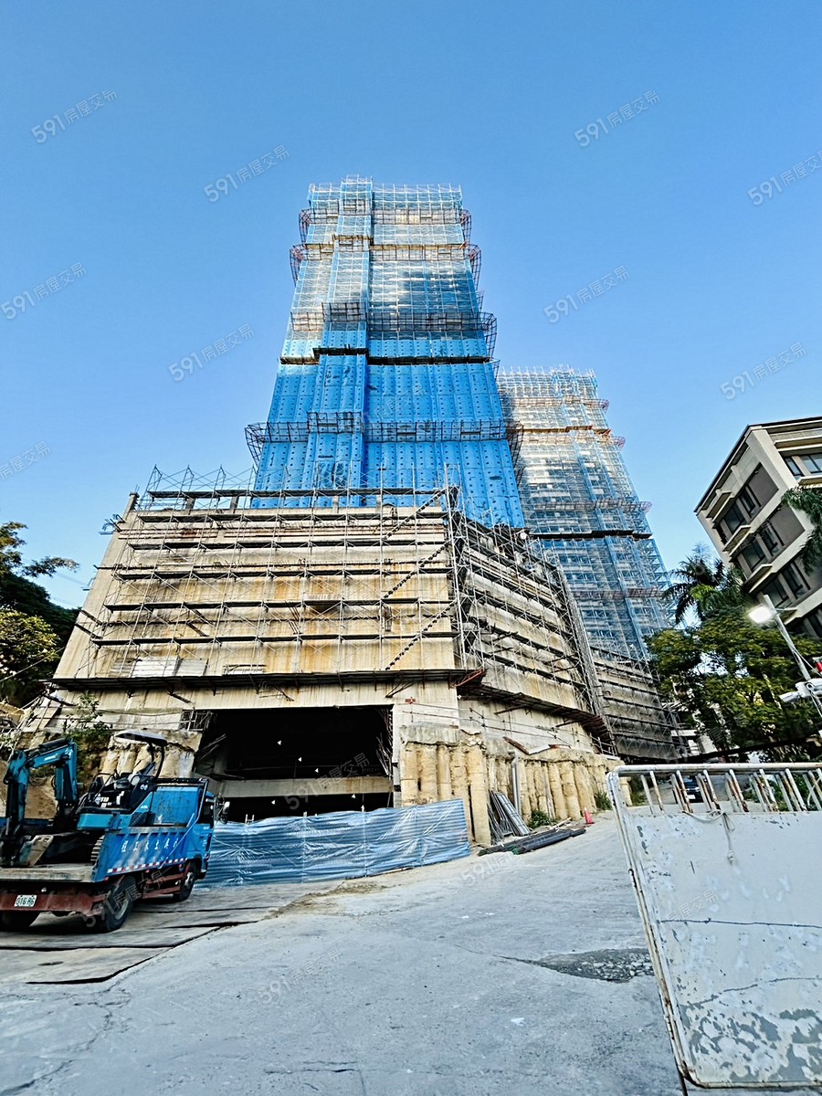 湯泉紅樹林實景圖