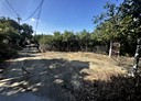 田寮區-田草埔土地，3513.8坪