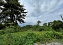 壽豐鄉-平和二街土地，798坪