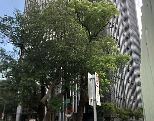 敦化民生新裝潢(美宅) - Image 1