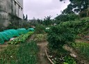 三峽區-白雞4房2廳，60.6坪