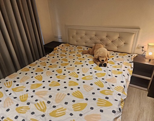 電梯高樓層2房含家電家具平面車位 - Image 14