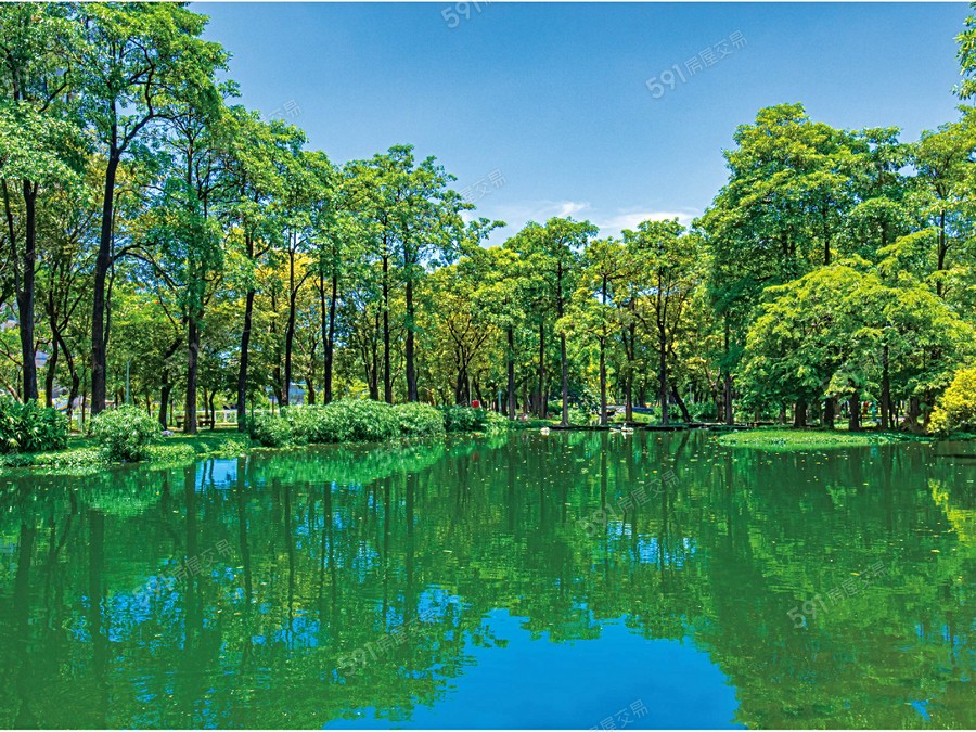 麗晶森學環境圖