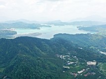 金天巷南投魚池26甲農+建地..