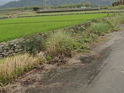 獨家@台東池上稻米之鄉低總價農地