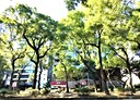 松山區-敦化北路2房2廳，38.7坪