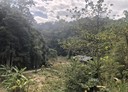 寶山鄉-寶山路一段土地，799.6坪