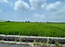 花壇鄉-口庄段土地，758坪