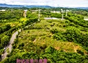 官田區-大崎土地，784.9坪