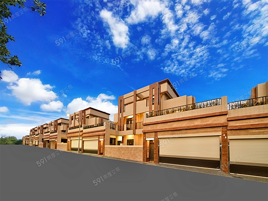 知鹿森林封面圖