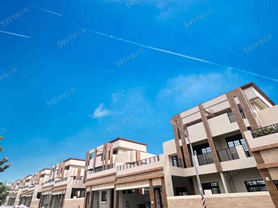 知鹿森林實景圖