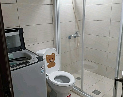 全新傢俱獨立套房衛浴乾濕分離獨立洗衣機 - Image 6