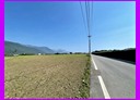 新城鄉-大漢街土地，1100坪