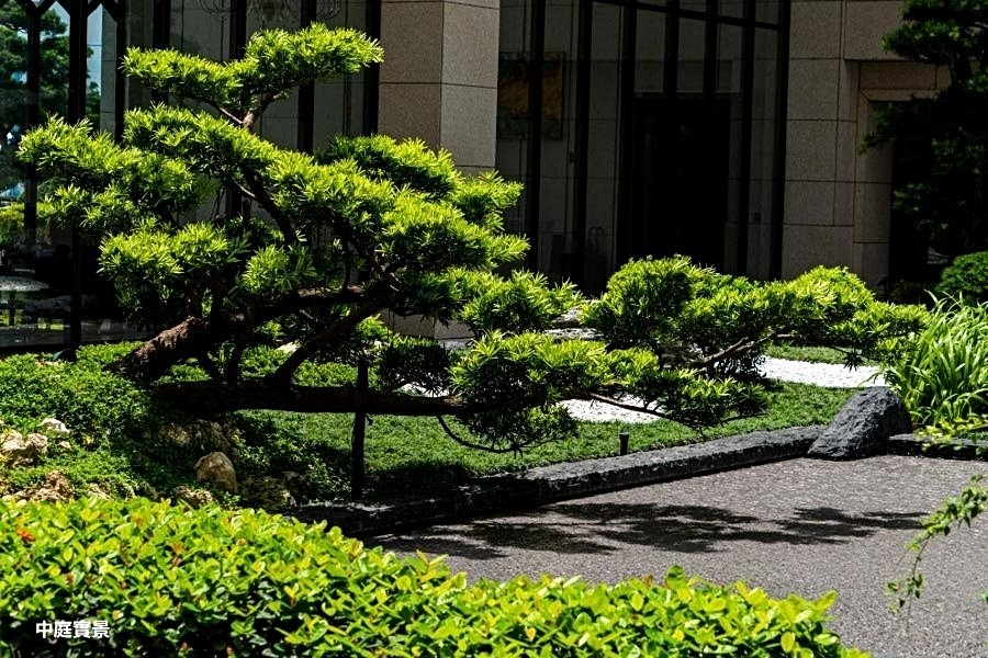 「耑悦」社區內外均種植珍貴樹種。