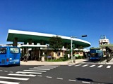 環境圖(19)