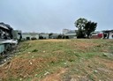 林口區-粉寮路一段土地，524坪
