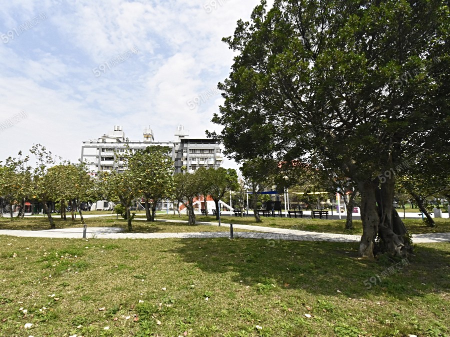 城市君臨環境圖