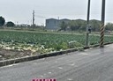 善化區-土地，410.7坪