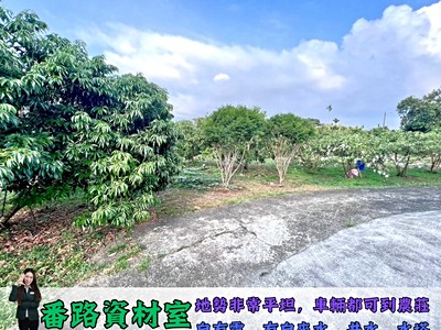 住商嘉義忠孝店-番路資材室果園農莊勝地