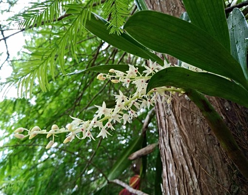 碧雲莊慈濟醫院抗震一樓獨立整層 - Image 8