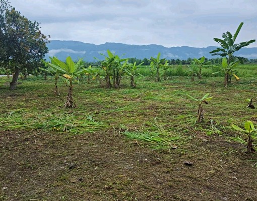 壽豐全新別墅 - Image 13