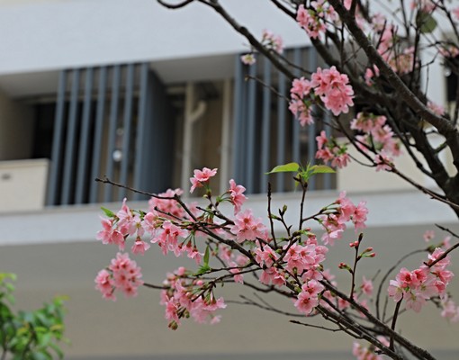 一卡皮箱即可入住! - Image 1