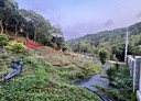龜山區-楓壽段土地，378.1坪