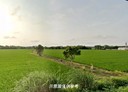觀音區-大湖段土地，492坪