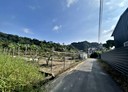 大社區-土地，546.1坪