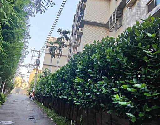 自有停車場優質套房出租 - 591租屋網 - Image 6