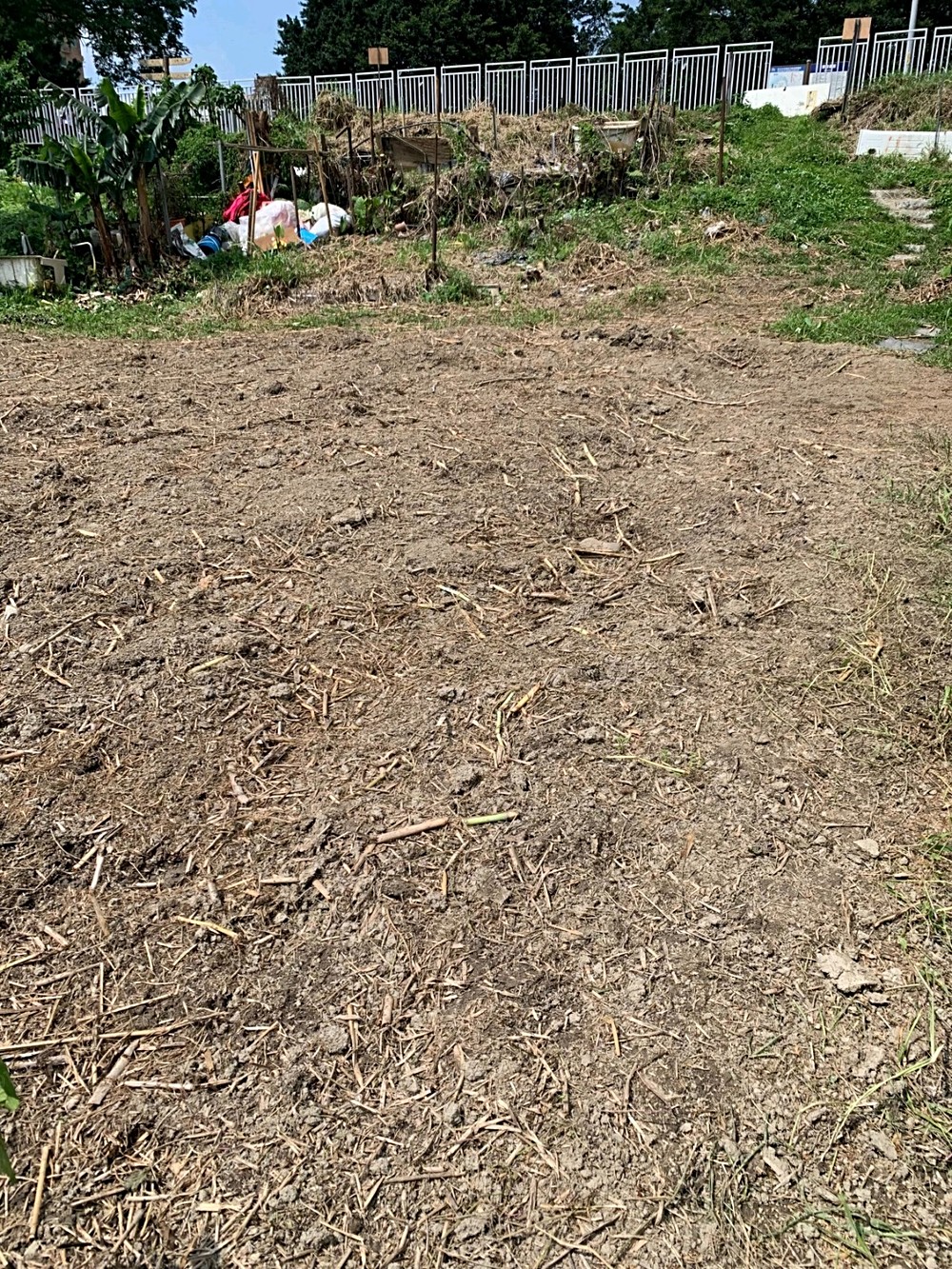 照片