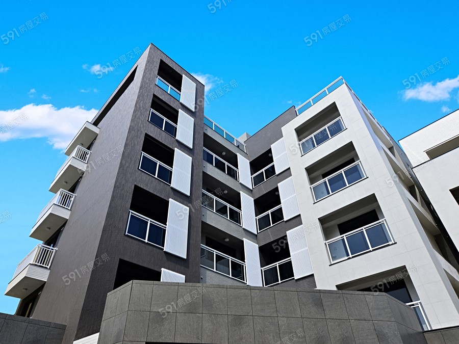 東宸泰吉11封面圖