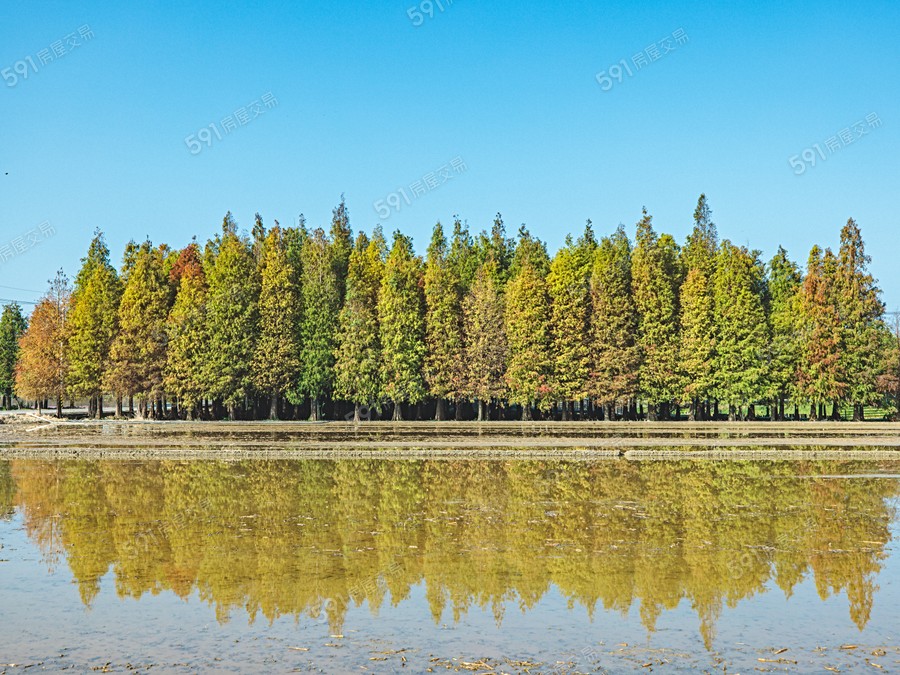 樂活小鎮環境圖