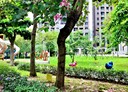新店區-安光路4房3廳，88.3坪