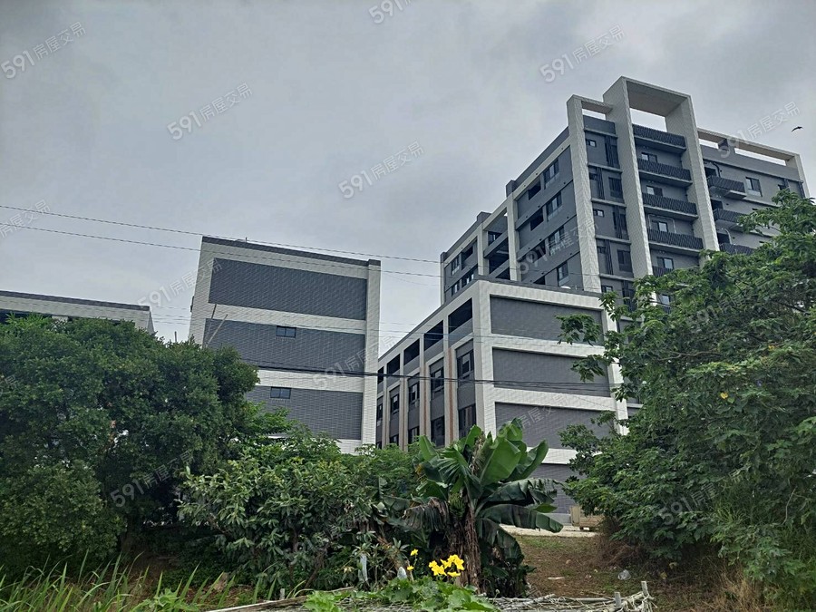 鼎巨La Vie NO.5(華廈)實景圖