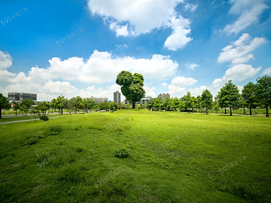 大城光年環境圖