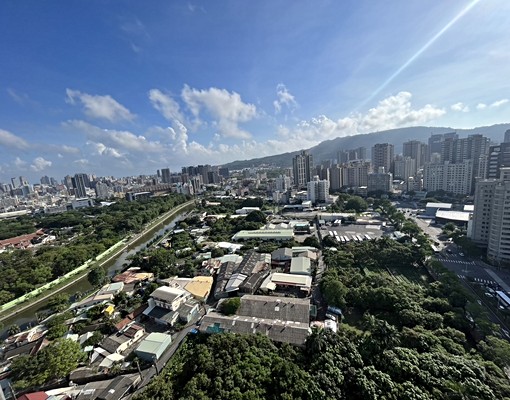 近龍華國小、輕軌、義享天地，可租補可養寵，租金可議 - Image 10