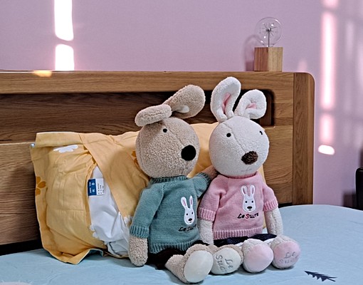 北歐時尙日光套房/1房1廳/可租補 - Image 6