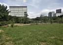 東區-隆恩段土地，297.2坪