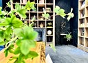 西屯區-朝馬二街3房2廳，57.6坪