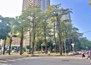 西區-五權西二街4房2廳，36.3坪
