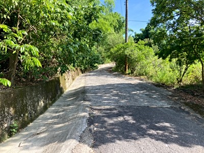 🌼價格甜🌼龍崎農會秘境農地