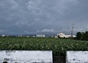 大安區-南北八路土地，897.2坪