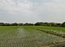 新屋區-土地，603.7坪