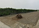 芳苑鄉-土地，1035.5坪